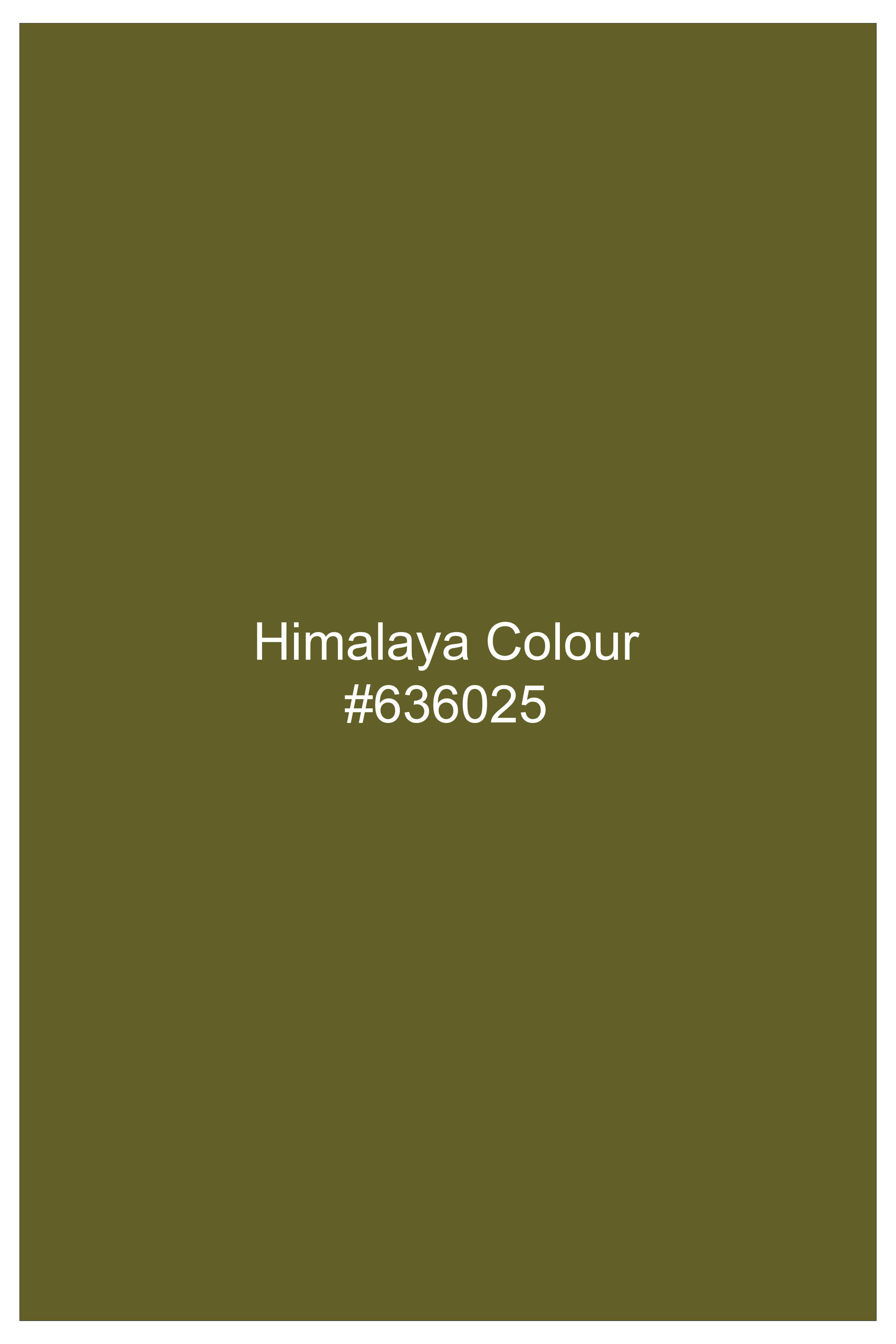 Himalaya Green Textured Luxurious Linen Shirt