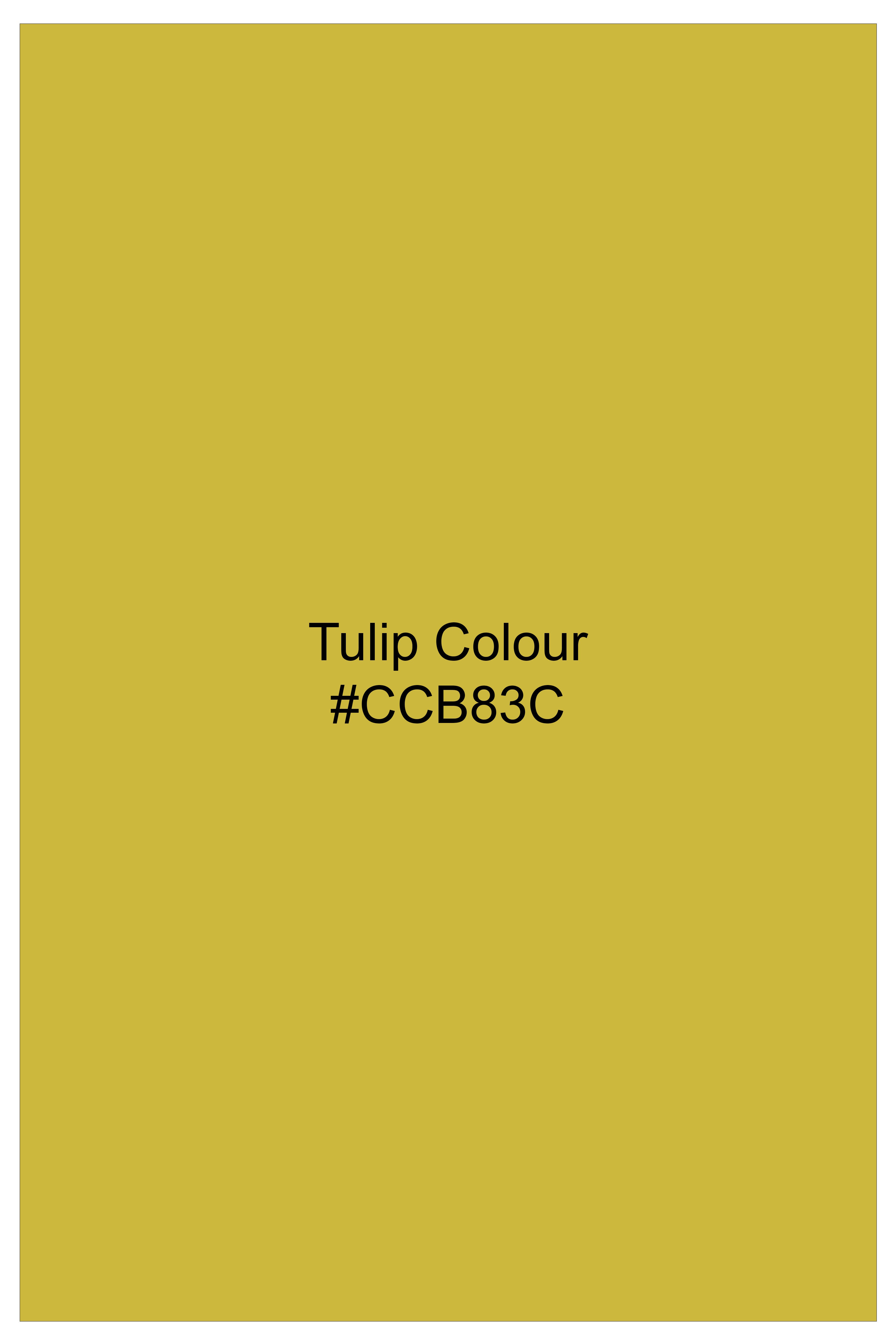 Auron-Mustard Yellow Oxford Premium Cotton Dress Cut Away Shirt