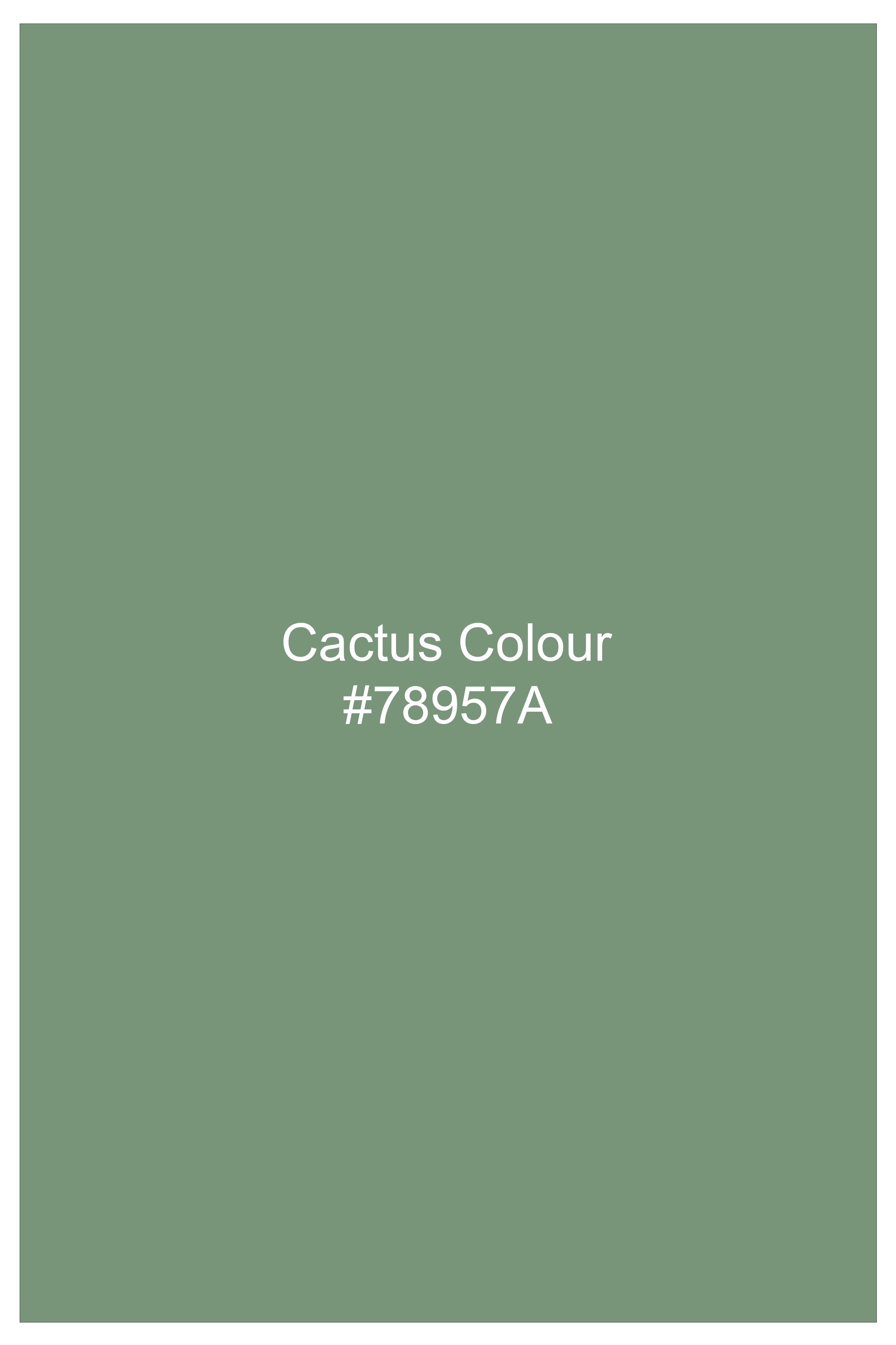 Sageon-Cactus Green Oxford Premium Cotton Dress Button Down Shirt