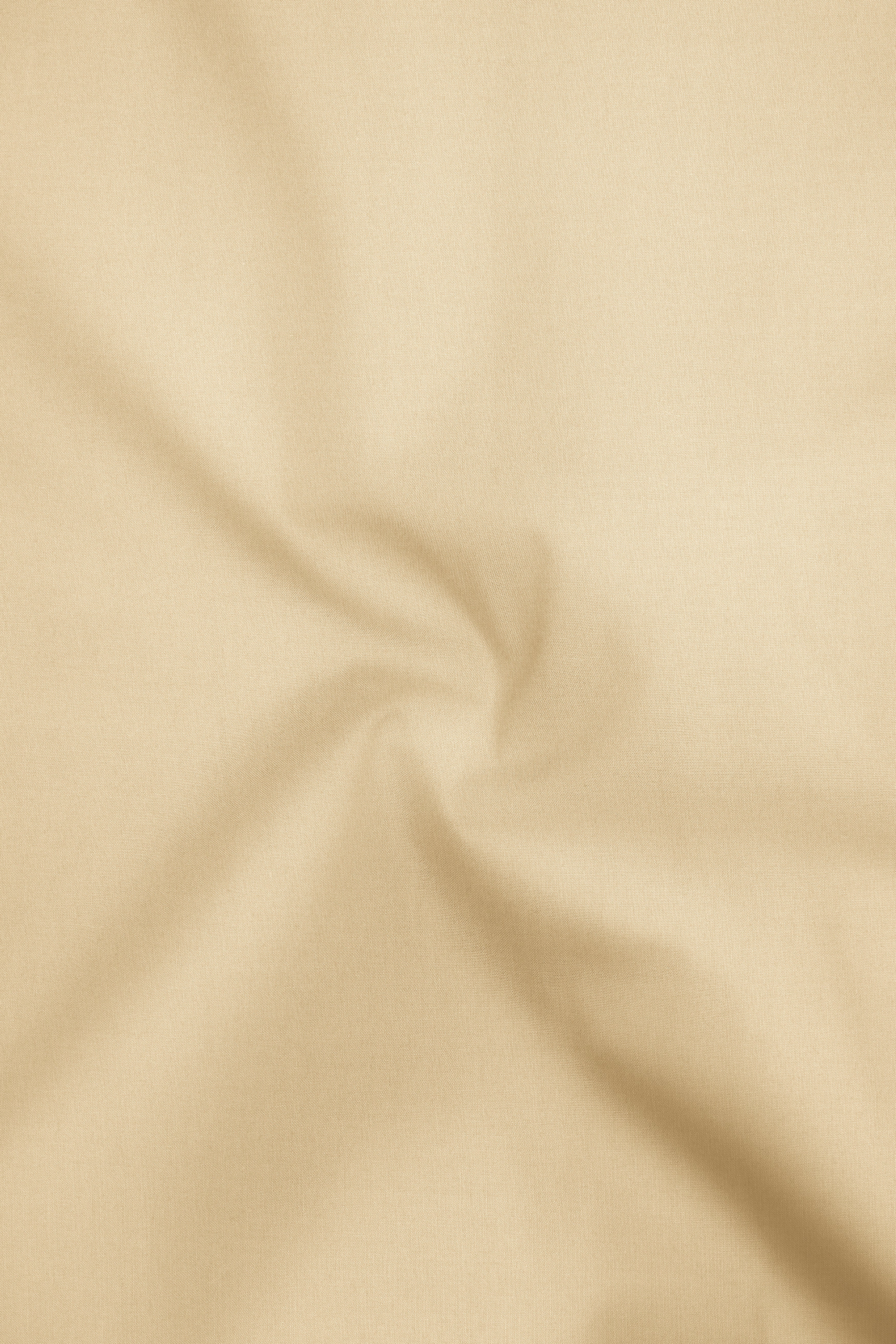 Earthen-Sapling Brown Premium Giza Cotton Cut Away Collar Dress Shirt