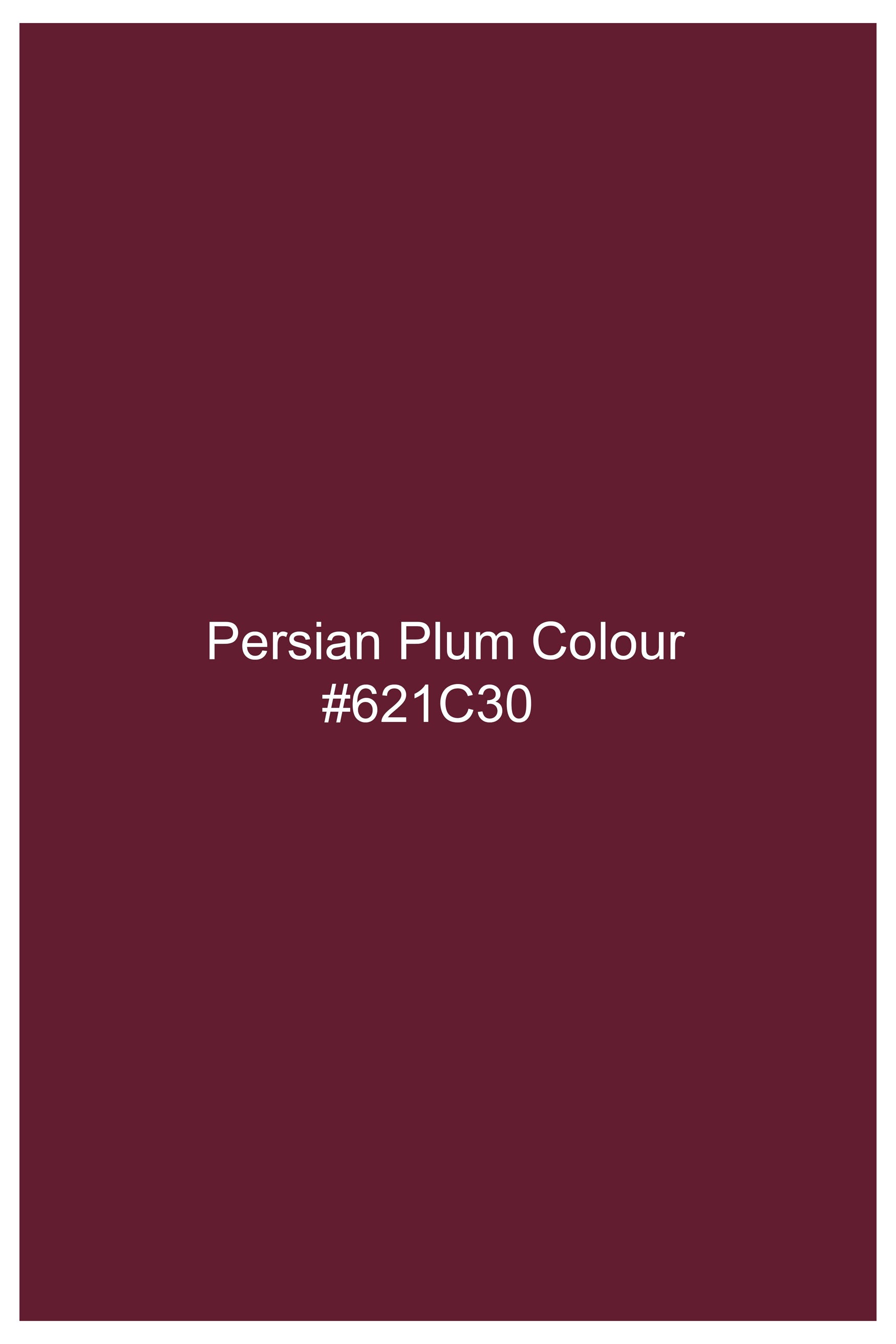 Persian Plum Vertical Kutch Work Patches with Mirror Work Subtle Sheen Super Soft Premium Cotton Designer Kurta