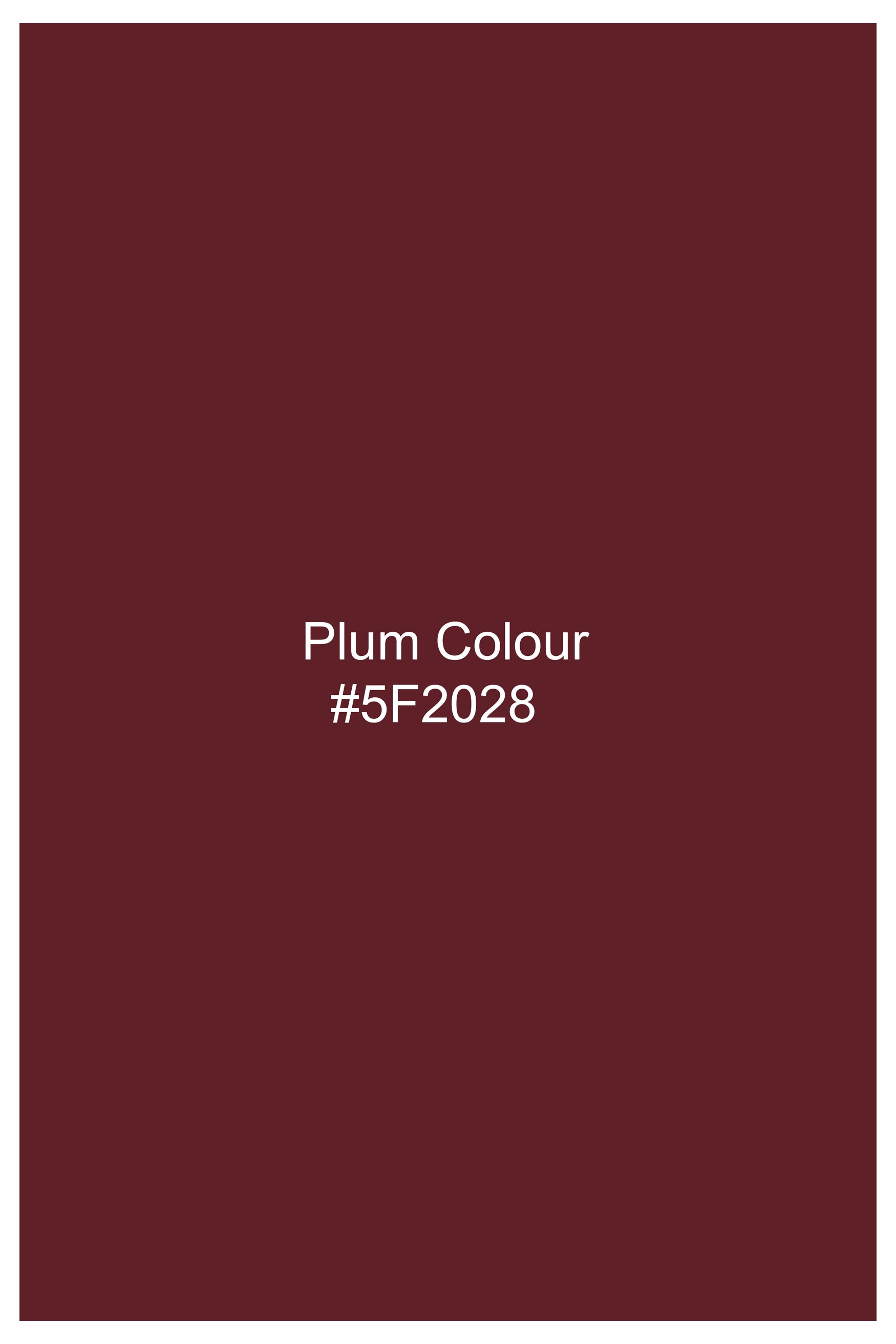 Plum Maroon Subtle Sheen Viscose Pajama F-8951