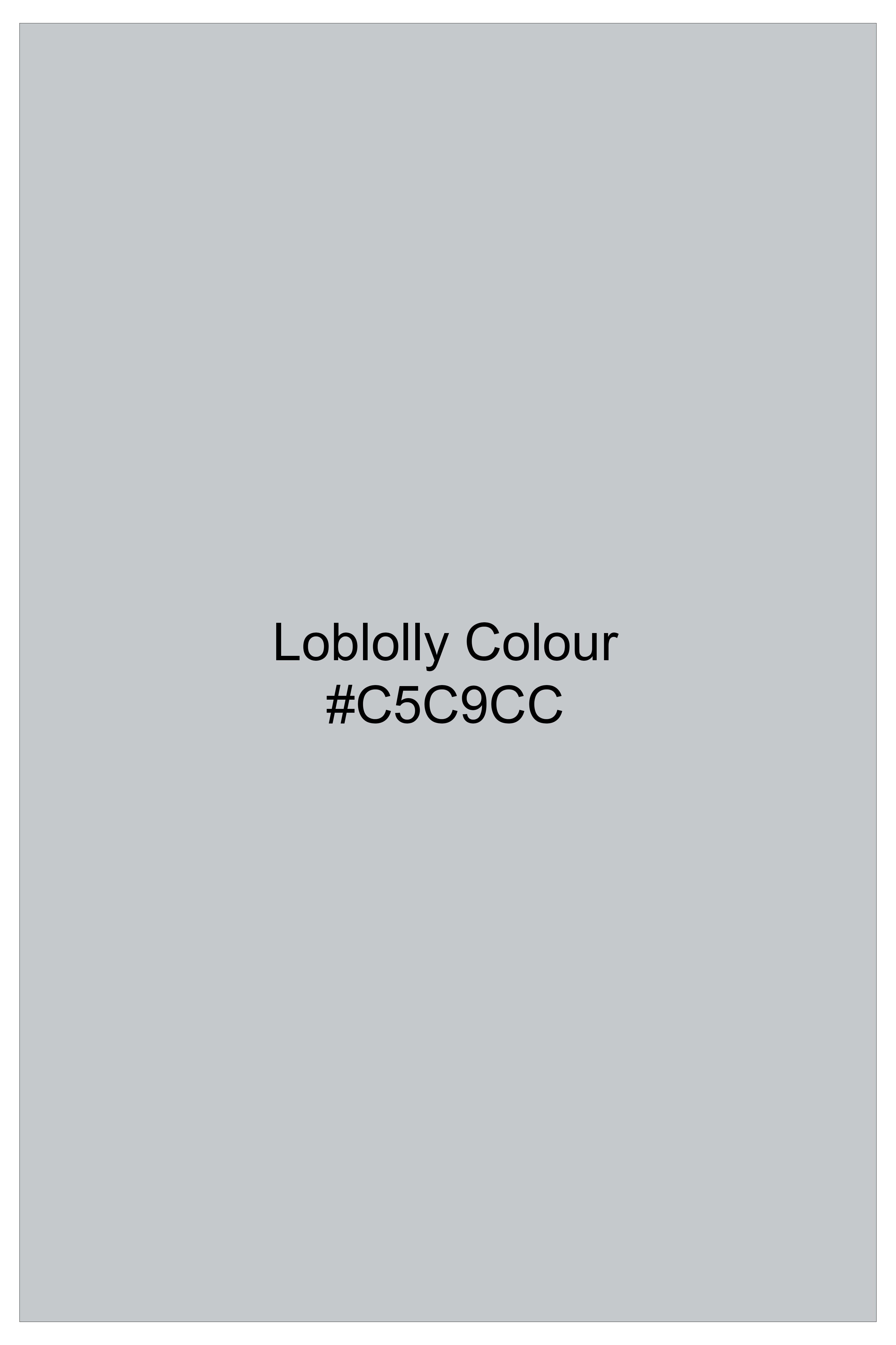 Loblolly Gray Royal Oxford Cotton Shirt