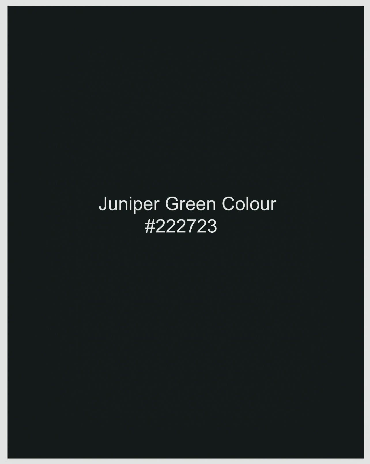 Juniper Green Plain-Solid Regular Fit Terry-Rayon Pant For Women
